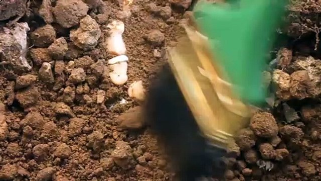 6 de los hallazgos arqueológicos más importantes del 2018