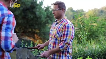 How to Be Better at Grilling, According to Celebrity Chefs