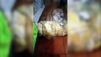 Forte chuva deixa moradora de Cafelândia com a casa alagada