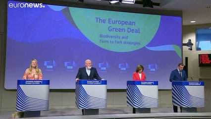 Giornata mondiale della biodiversità e Patto verde Ue