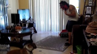 Funny Dogs Scared of Masks Compilation