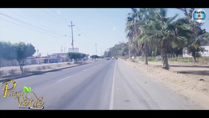 PLAYA VERDE - Por Tus Desprecios - PRIMICIA 2020 - ►PADILLA PRODUCCIONESCumbia Sanjuanera