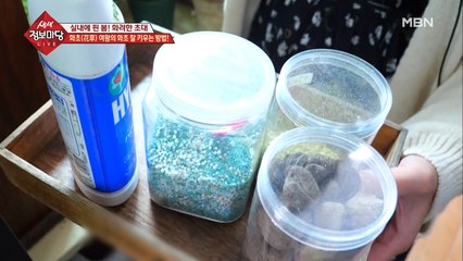 화초 여왕의 화초 잘 키우는 방법!