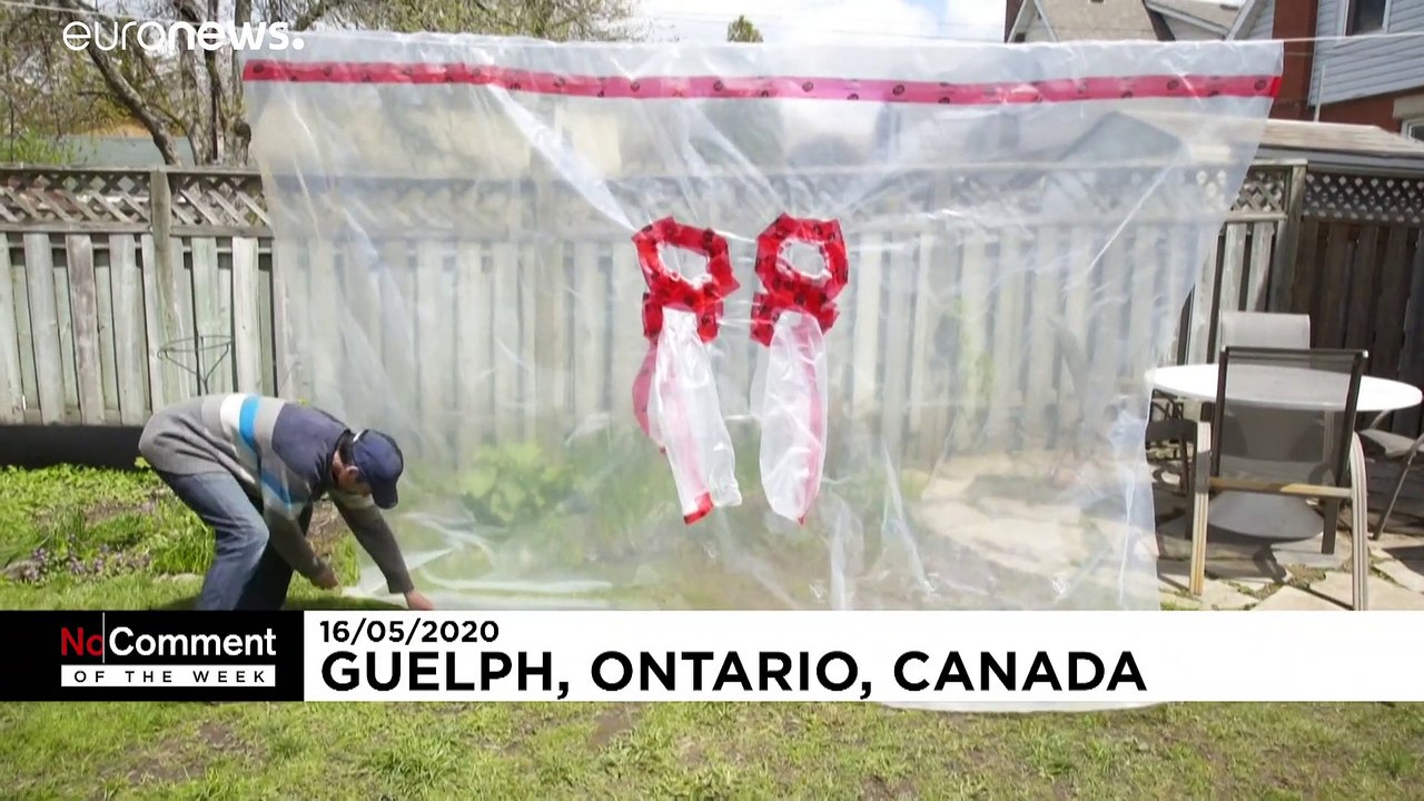 Plastikumarmung, Delfine, Entlein und ein Roboterhund