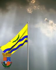 Juncos - vocal