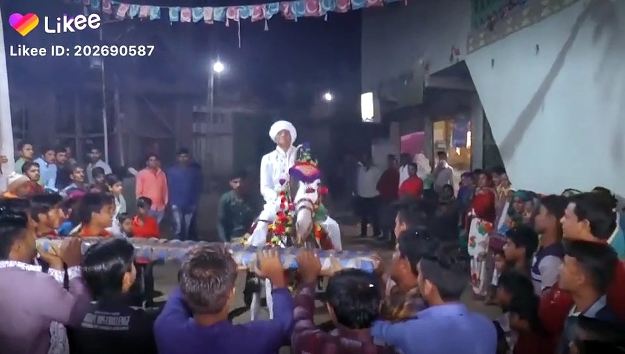 Beautiful horse dance