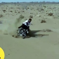 If you haven't seen it, you haven't seen anything
