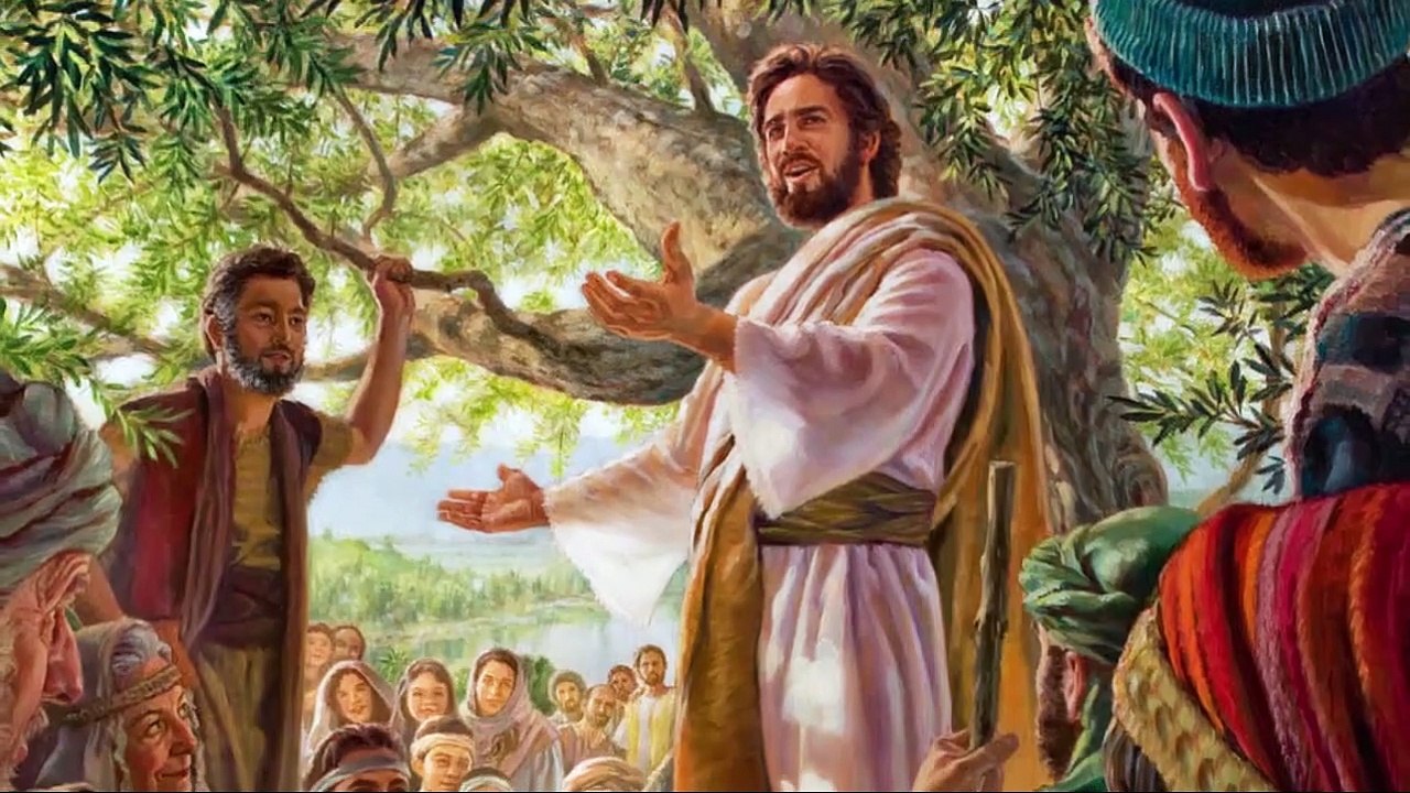 REFLEXÕES DO 6º DOMINGO DA PÁSCOA