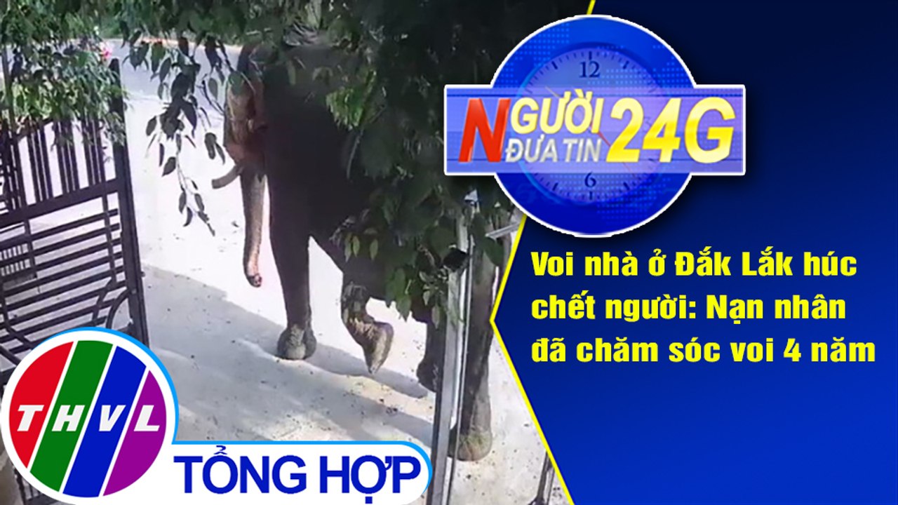 Người đưa tin 24G (6g30 ngày 23/5/2020): Voi nhà Đắk Lắk húc chết người: Nài voi chăm sóc voi 4 năm