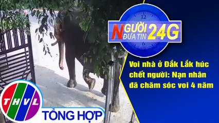 Người đưa tin 24G (6g30 ngày 23/5/2020): Voi nhà Đắk Lắk húc chết người: Nài voi chăm sóc voi 4 năm