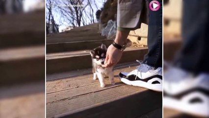 Ils sont vraiment trop mignons !