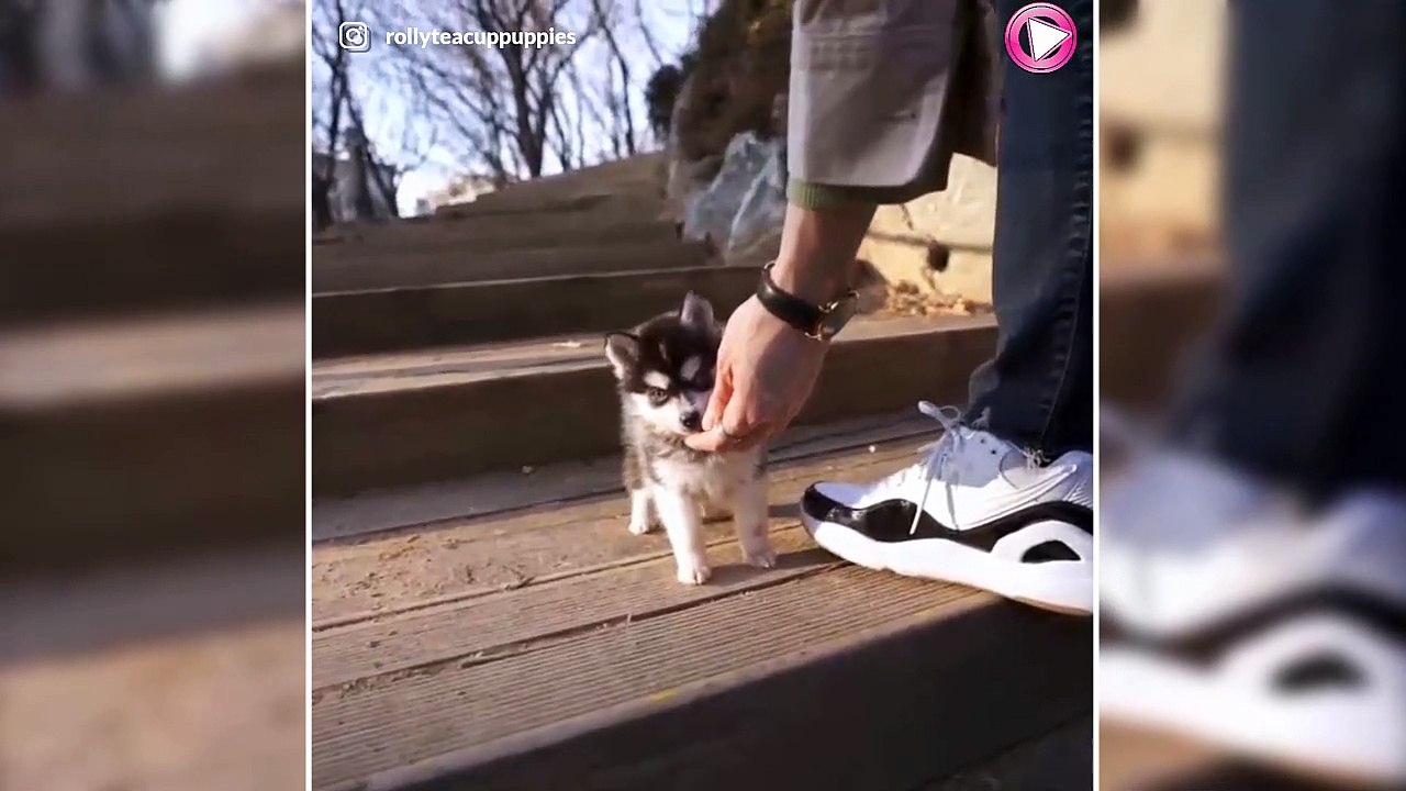 Ils sont vraiment trop mignons !