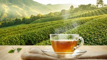 Çay üreticileri ve bölge halkı endişeli... 