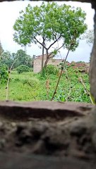 Amphan toofan