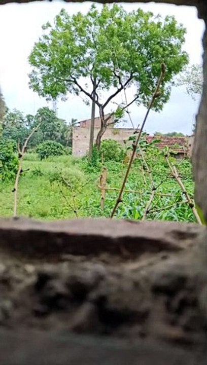 Amphan toofan