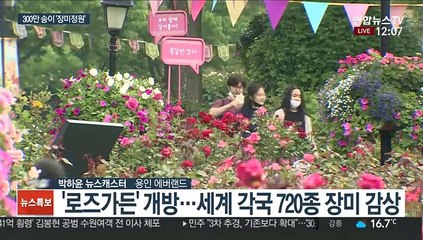 축제는 취소됐지만…'5월의 여왕' 장미 총집합