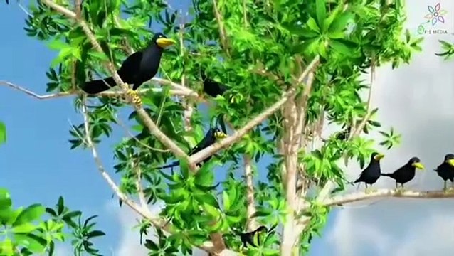 HASBI RABBI JALLALLAH WORLD FAMOUS NAAT CARTOON VERSION CHILDREN SPACIAL