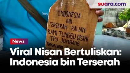 Petugas Palang Hitam Membuat Nisan 'Indonesia bin Terserah, Kami Tunggu di TPU'
