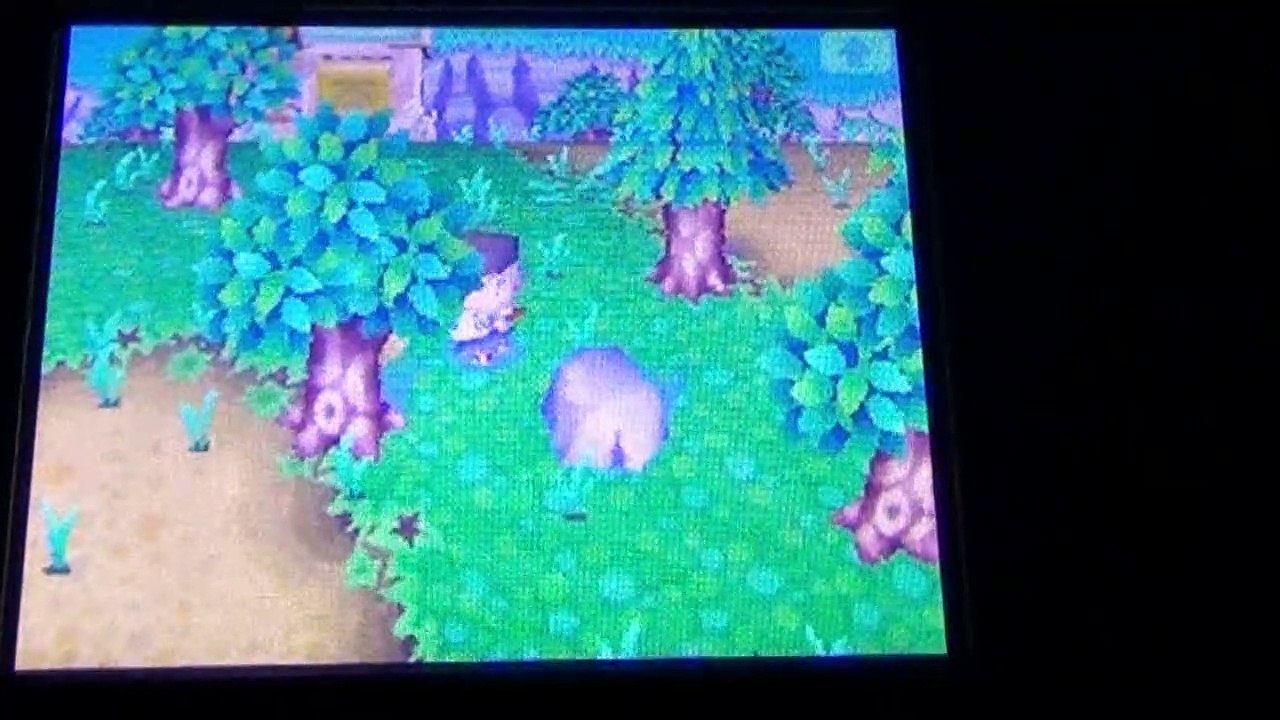 WILD WORLD 2020