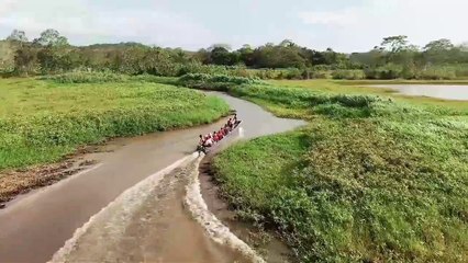 Nice #Nature beauty in the village canal | গ্রামের খালে নৌকা দৌড় অনুশীলন ।