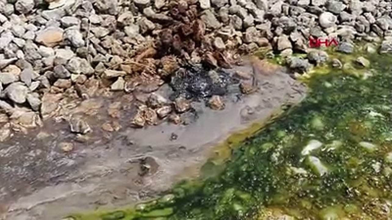 Şaşkınlık yaratan görüntü, termal su asfaltı deldi