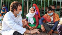 Did Rahul Gandhi stage interaction with Migrant Workers