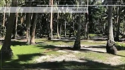 A vendre un terrain Plat de 3810M2 C/Mont. à Moorea-Afareaitu