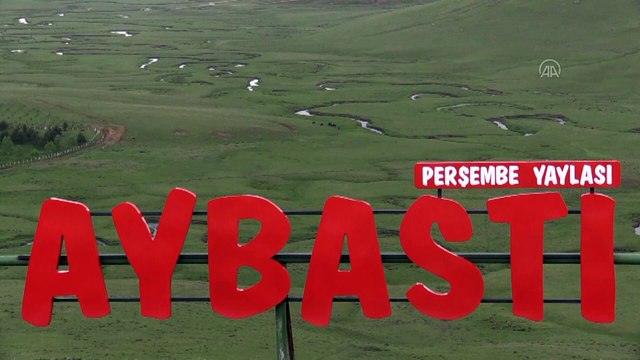 Menderesleriyle ünlü Perşembe Yaylası en sessiz bayramını yaşayacak - ORDU