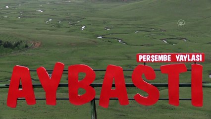 Menderesleriyle ünlü Perşembe Yaylası en sessiz bayramını yaşayacak - ORDU