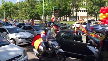 Protesta convocada por Vox en Paseo de la Castellana (Madrid)