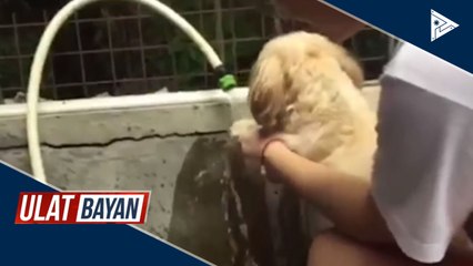 Ilan nating kababayan, may mga 'iwas-bagot' sa 'new normal'