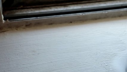 Traditional Thai dessert : MANGO STICKY RICE