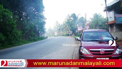 kerala road accident statistics