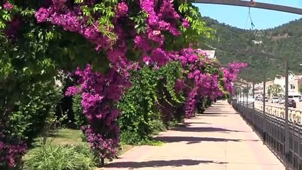 Marmaris sokağa çıkma kısıtlamasının ardından sessizliğe büründü - MUĞLA