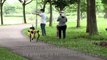 Robot dog on virus park patrol in Singapore