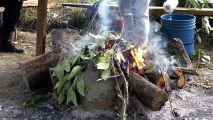 Colombia indigenous people use medicinal plants believed to protect them against COVID-19