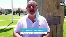 Alejandro Hernández, portavoz de VOX en Andalucía.