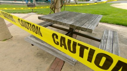 Having picnics in the age of social distancing