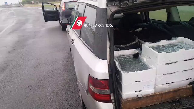 Guardia Costiera - Sequestro ricci (23.05.20)