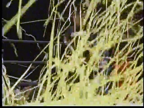 AJPW - 08-27-2006 - Taiyo Kea (c) vs. Toshiaki Kawada (Triple Crown Title)