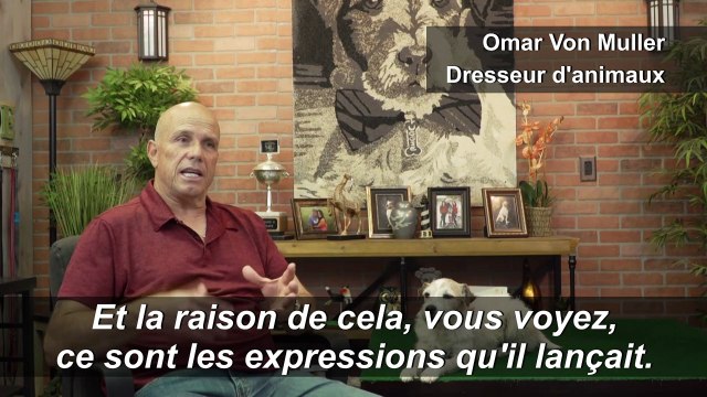 Et le meilleur interprète canin est... Uggie de The Artist