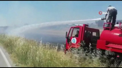 Anız yangınına ilk müdahaleyi ağaç dallarıyla yaptılar