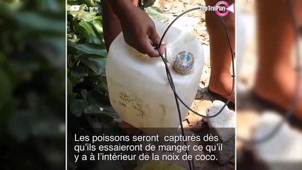 Il fabrique un incroyable piège à poisson à partir de noix de coco 