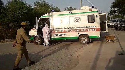 कोरोना के मिले 8 नए मामले, संख्या 36 पर पहुंची