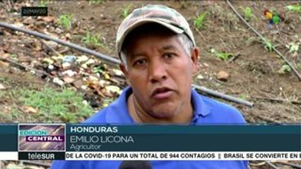 Honduras: campesinos exigen asistencia estatal ante pandemia