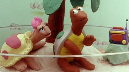 A tale of two turtles