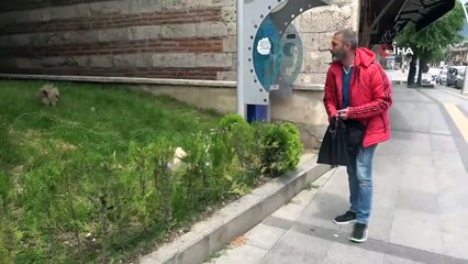 Sokağa Çıkma Kısıtlamasının İlk Günü Köpeklerini Gezdirdi Ve Hayvanlara Yem Bıraktı