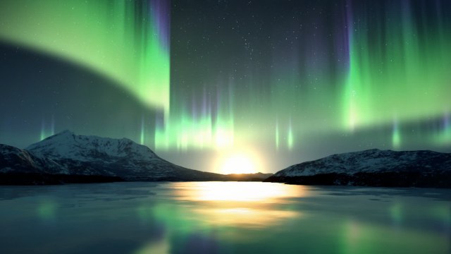 Why Antarctica's Coast Is Developing Even More Green Algae
