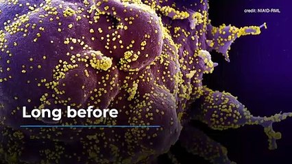 How has WHO responded to COVID-19