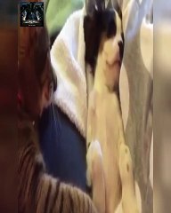 Top 9 pha ĐÁ PEN chấn động LỊCH SỬ ► Những cú Penalty KHÔNG THỂ NÀO QUÊN | iFutGol